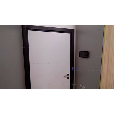 iPanel-2 WG с электромагнитным замком в офис от 160320 - 23100 рублей под ключ