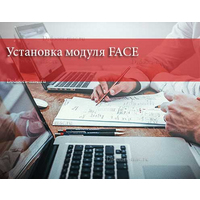 Установка модуля FACE