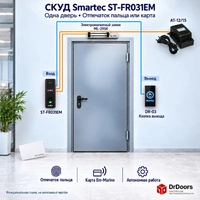 Биометрическая СКУД с электромагнитным замком и ST-FR031EM